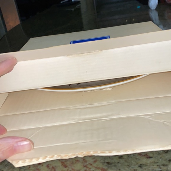 1975 Avon Special Edition American Songbird Bluebird Plate IOB - Picture 8 of 10